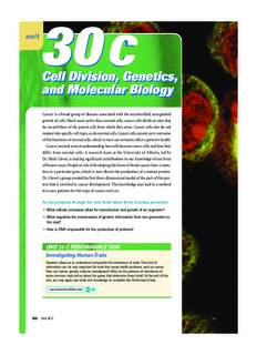 Cell Division, Genetics, and Molecular Biology Cell Division, Genetics, and Molecular Biology