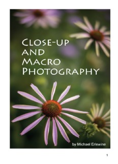 Close-Up and Macro Photography