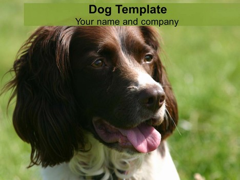 Dog PowerPoint Template